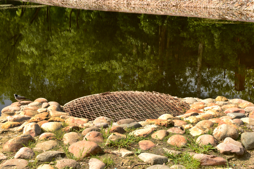 septic tank maintenance